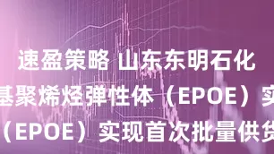 速盈策略 山东东明石化集团乙烯基聚烯烃弹性体（EPOE）实现首次批量供货