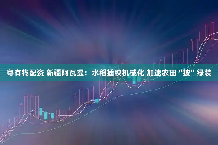 粤有钱配资 新疆阿瓦提：水稻插秧机械化 加速农田“披”绿装