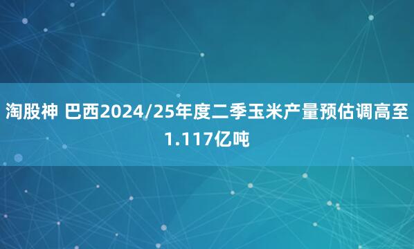 淘股神 巴西2024/25年度二季玉米产量预估调高至1.117亿吨