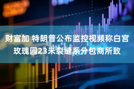 财富加 特朗普公布监控视频称白宫玫瑰园23米裂缝系分包商所致
