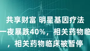 共享财富 明星基因疗法公司股价一夜暴跌40%，相关药物临床被暂停